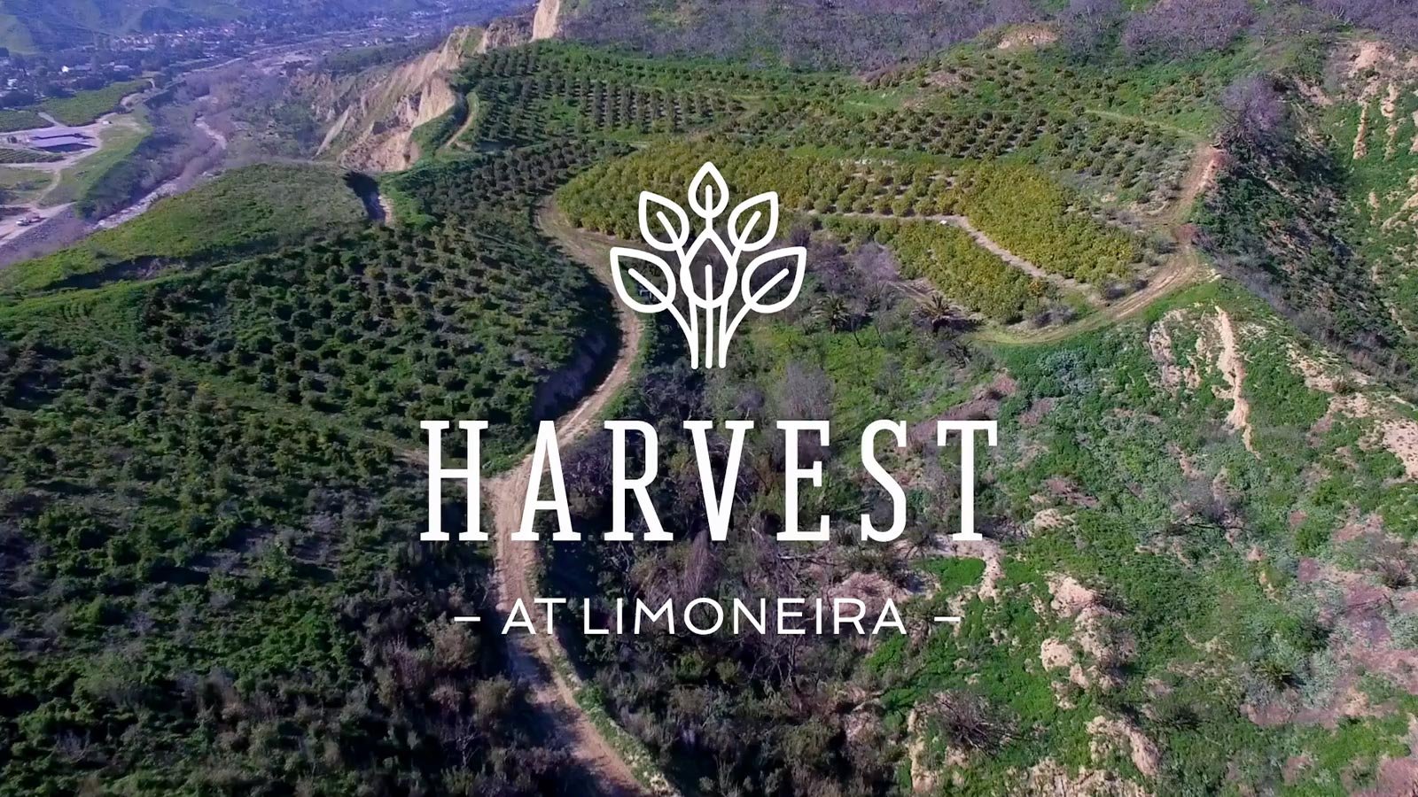 Featured image of Why You Should Move to Harvest at Limoneira